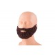 Fausse Barbe Marron