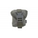 Poche pour grenade Ranger Green - PRIMAL GEAR