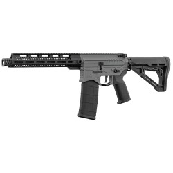 ZION ARMS - Réplique Airsoft R15 mod 1 avec Garde main long - NOIR/GRISE