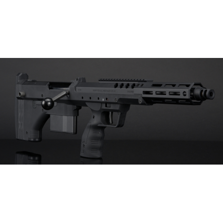 SILVERBACK - Réplique Sniper Airsoft SRS A2/M2 COVERT 16" - NOIR SILVERBACK - Réplique Sniper Airsoft SRS A2/M2 COVERT 16" - NOIR