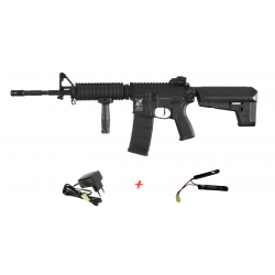 DELTA ARMORY - Pack Réplique Airsoft M4 RIS CHARLIE - TAN