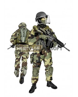 French Airborne Marines