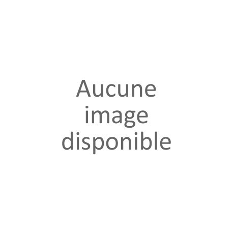 ARMY - Chargeur pour M1911 GBB